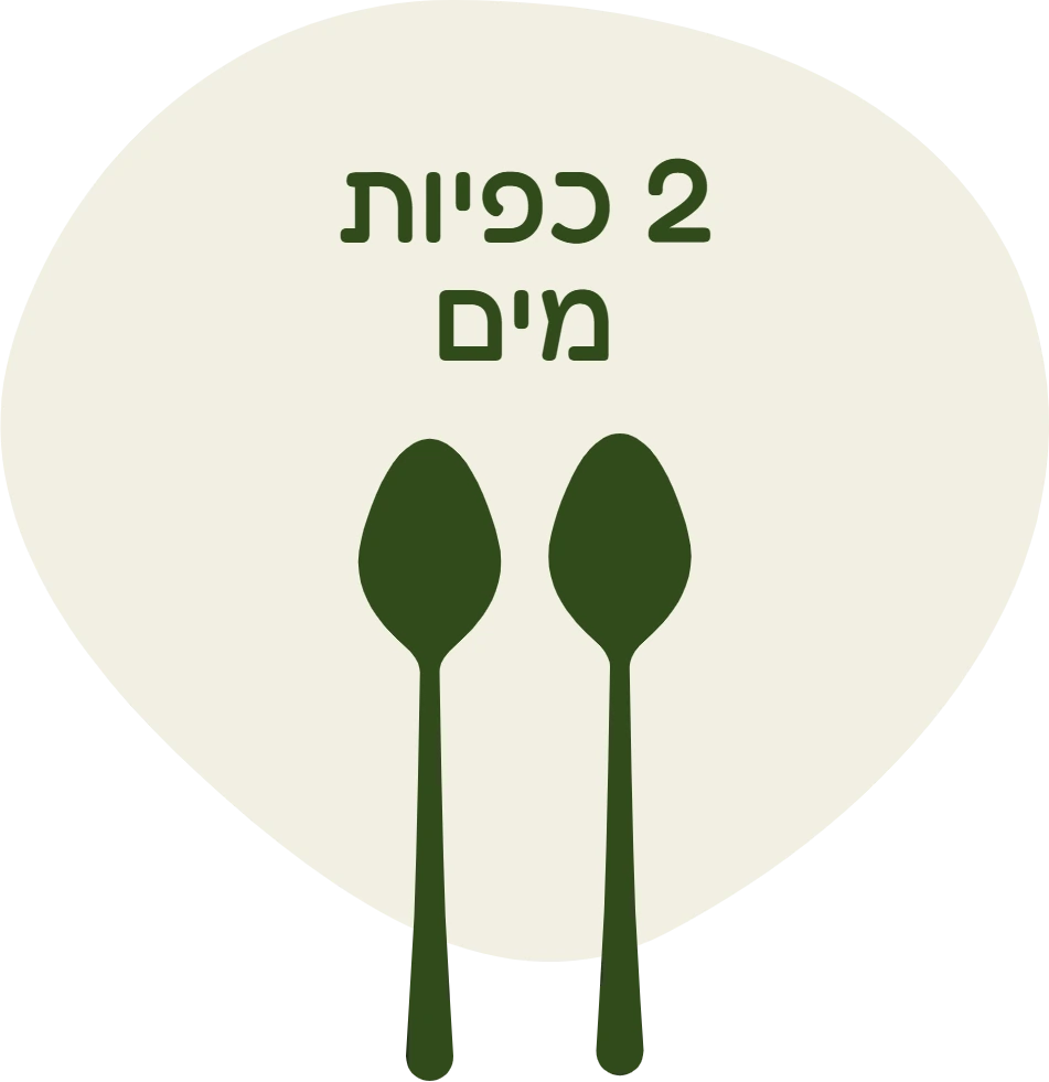 דף הבית